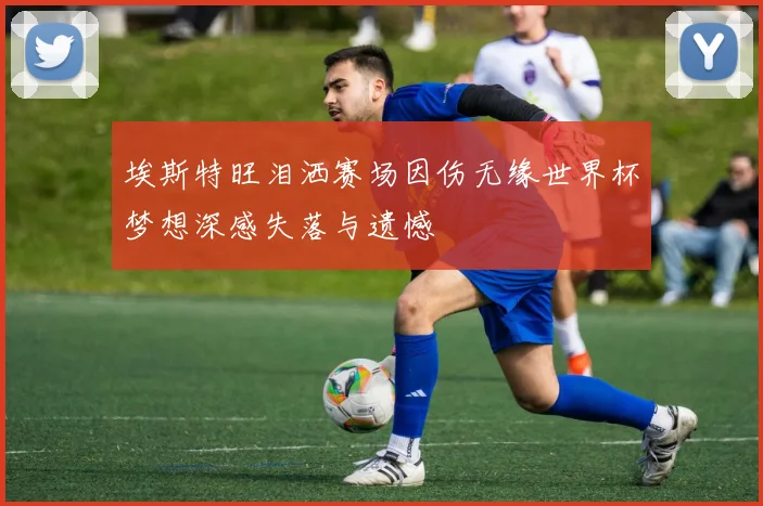 埃斯特旺泪洒赛场因伤无缘世界杯梦想深感失落与遗憾