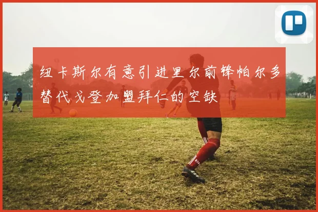 纽卡斯尔有意引进里尔前锋帕尔多替代戈登加盟拜仁的空缺